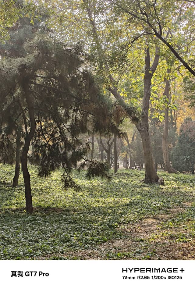 真我GT7 Pro体验怎么样 真我GT7 Pro体验评测