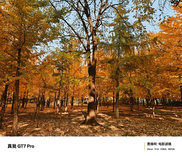 真我GT7 Pro体验怎么样 真我GT7 Pro体验评测