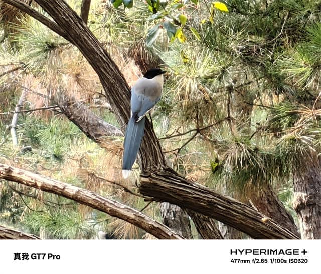 真我GT7 Pro体验怎么样 真我GT7 Pro体验评测