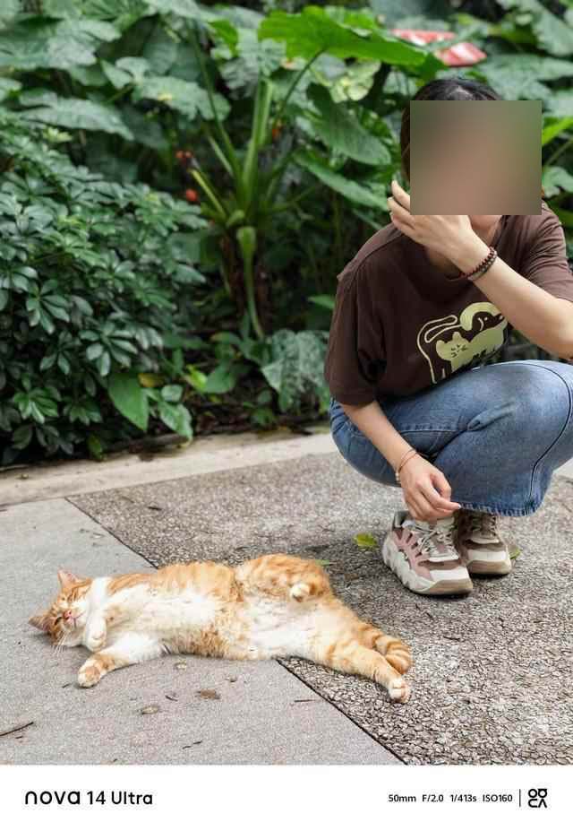 红枫原色镜头真的不一样吗? 华为nova 14 Ultra手机评测