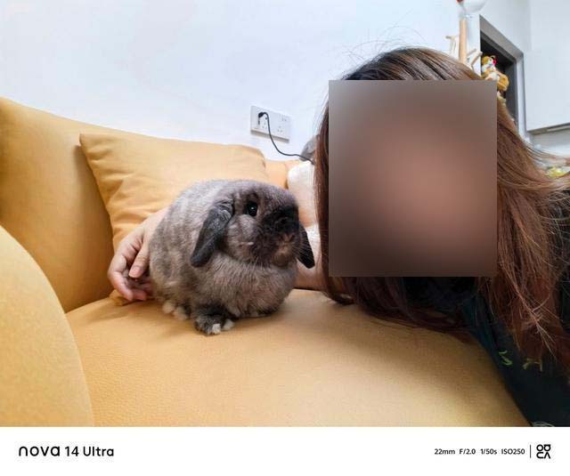 红枫原色镜头真的不一样吗? 华为nova 14 Ultra手机评测