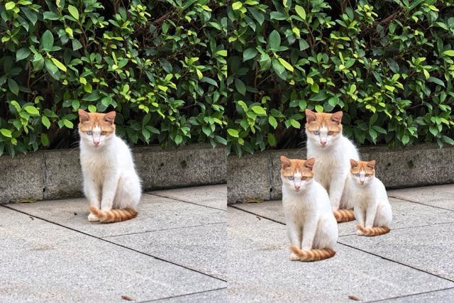 红枫原色镜头真的不一样吗? 华为nova 14 Ultra手机评测