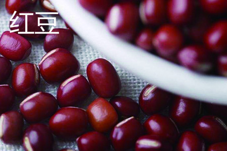 红豆 红豆