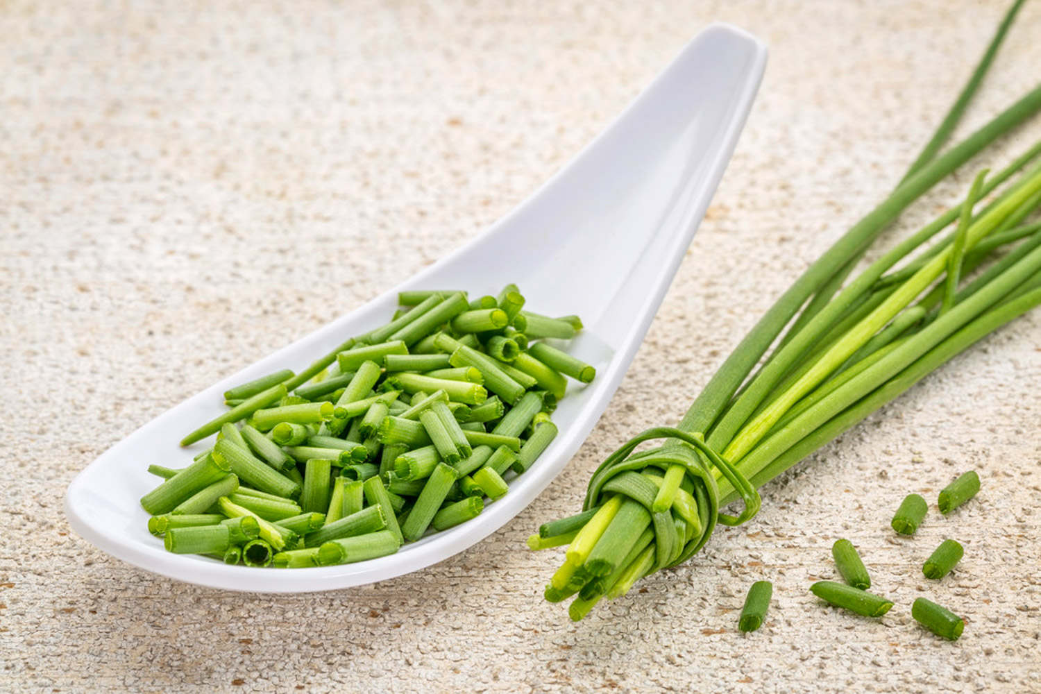 小葱的种植方法与时间