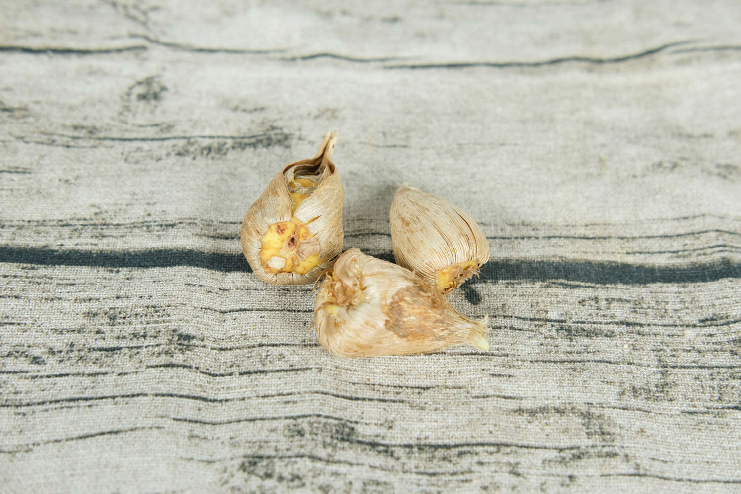 香雪兰适合在室内养吗