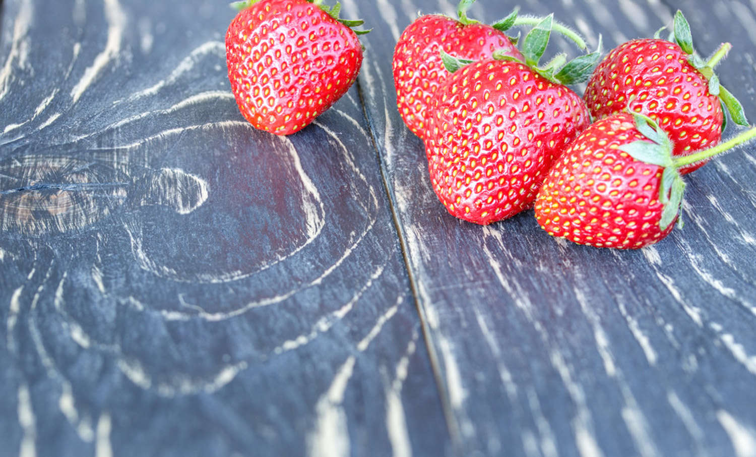 草莓的盆栽方法