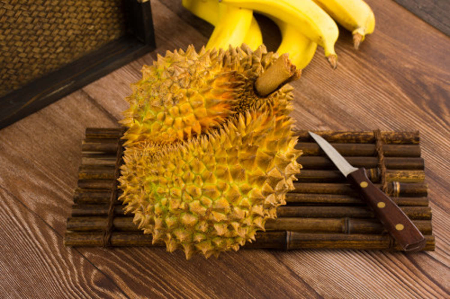 榴莲秋天怎么养