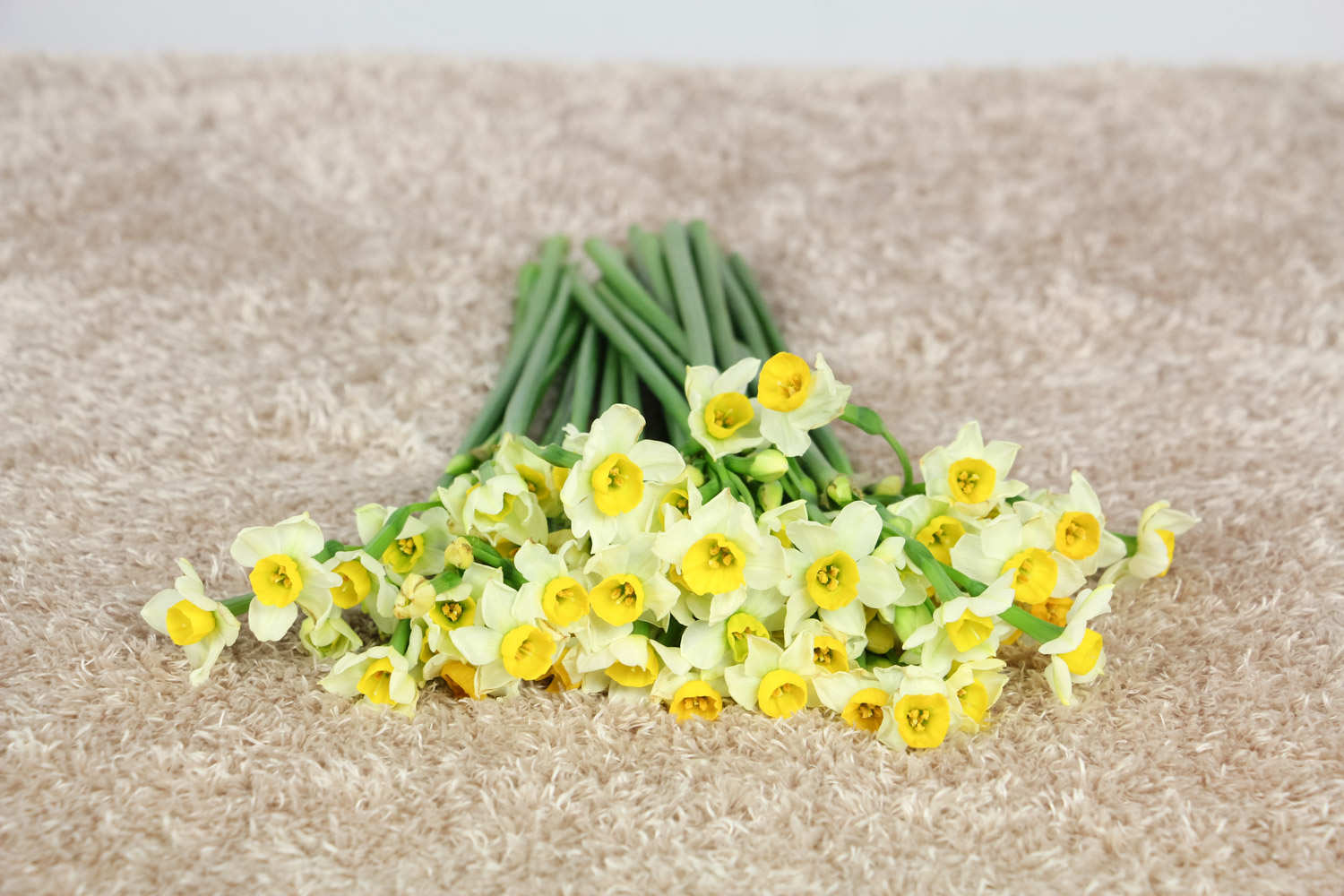 水仙花如何沙养