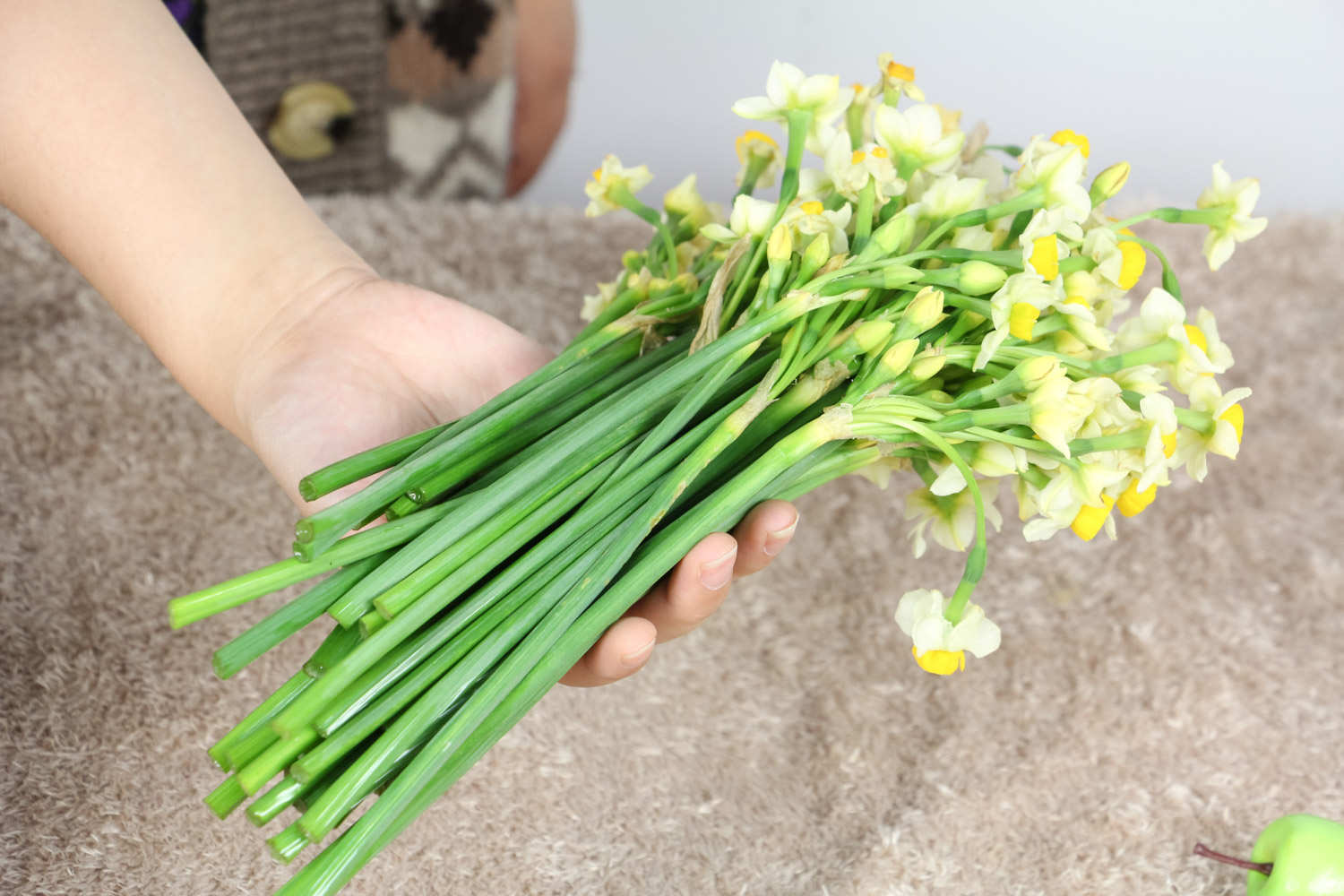 水仙花的花期控制