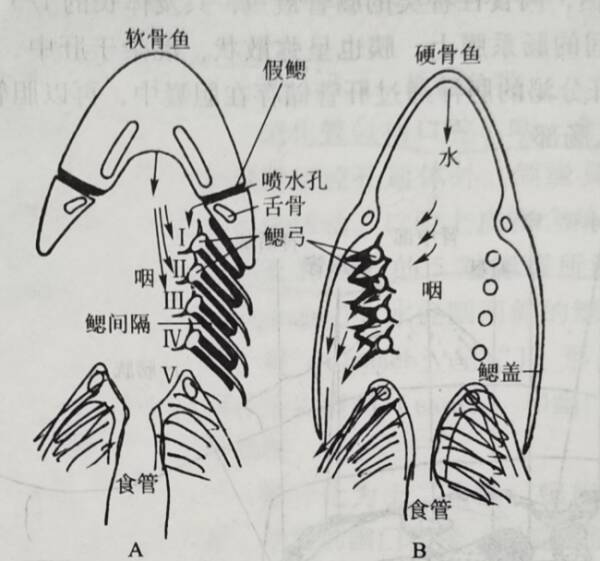 1668415858274125.jpg 6_九雷图片转换器.jpg