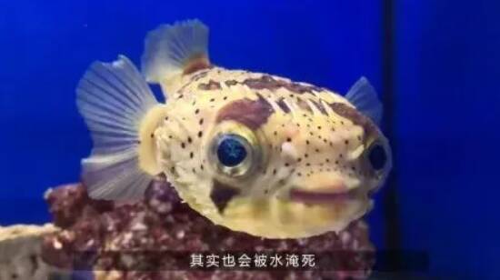1668415951117292.jpg 2_九雷图片转换器.jpg