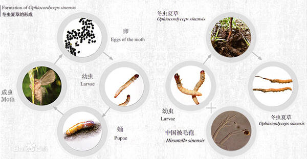 2022121952725868.jpg 3_九雷图片转换器.jpg