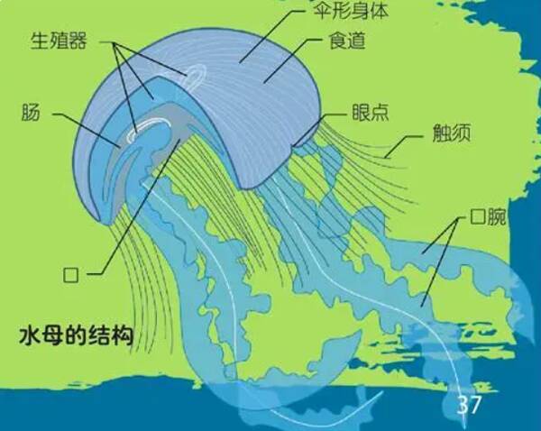 2022122081795667.jpg 4_九雷图片转换器.jpg