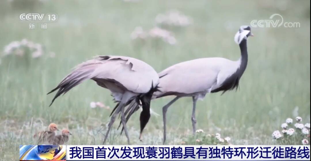 2023011717657625.jpg 2_九雷图片转换器.jpg