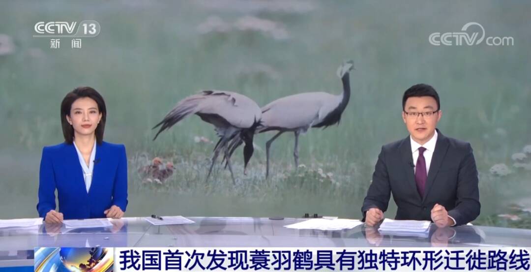 2023011771075583.jpg 1_九雷图片转换器.jpg