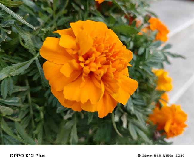 OPPO K12 Plus手机怎么样 OPPO K12 Plus手机评测 OPPO K12 Plus手机怎么样 OPPO K12 Plus手机评测