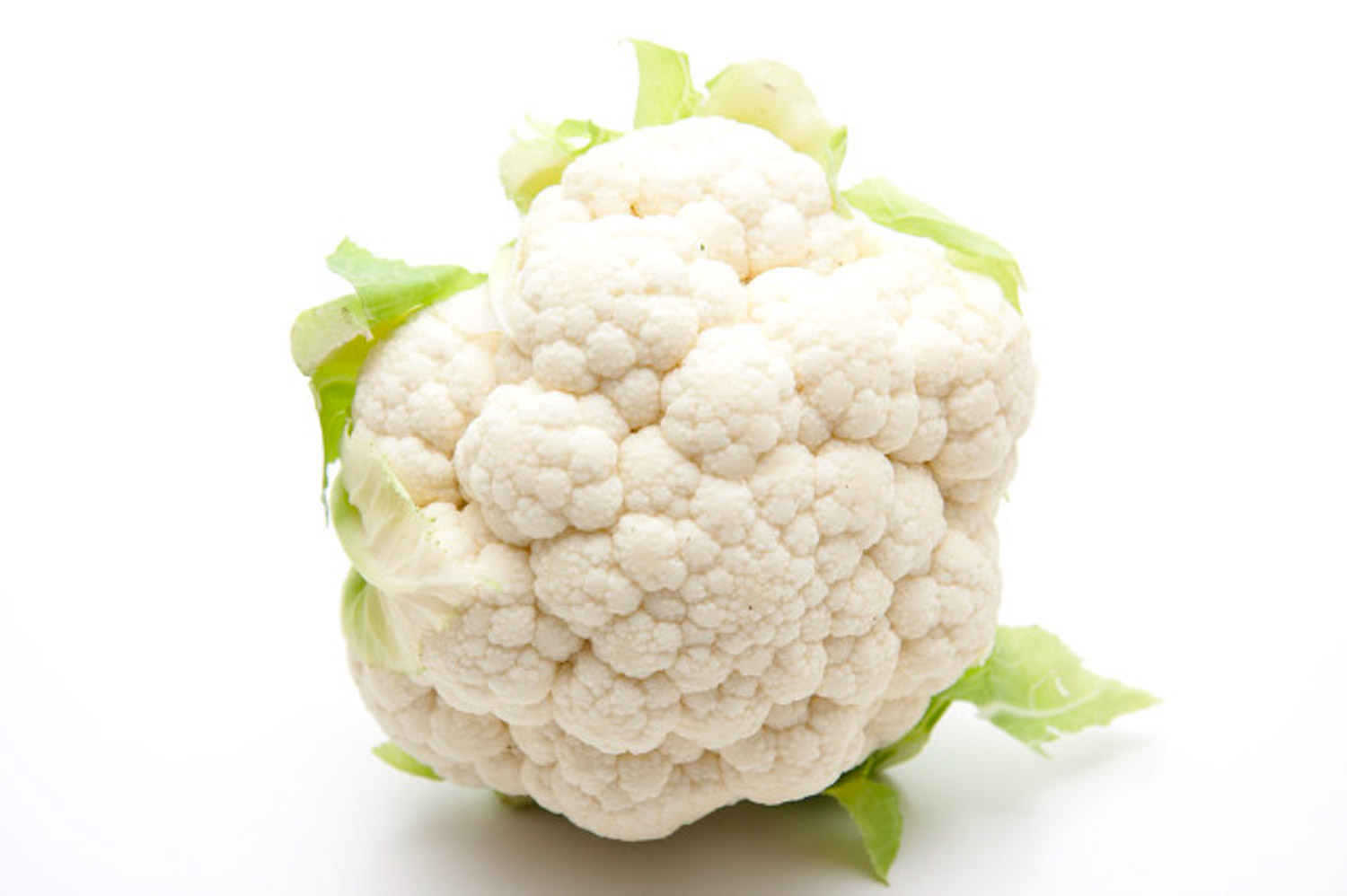 花椰菜 花椰菜